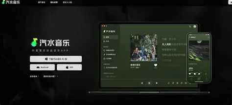 汽水音乐权限与省电策略