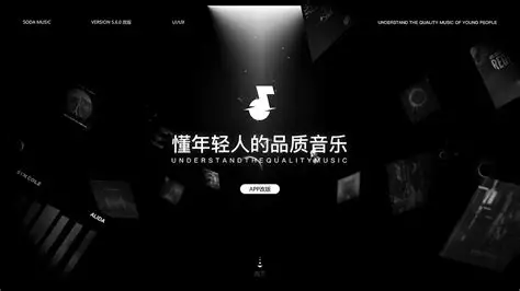 汽水音乐导入问题排查